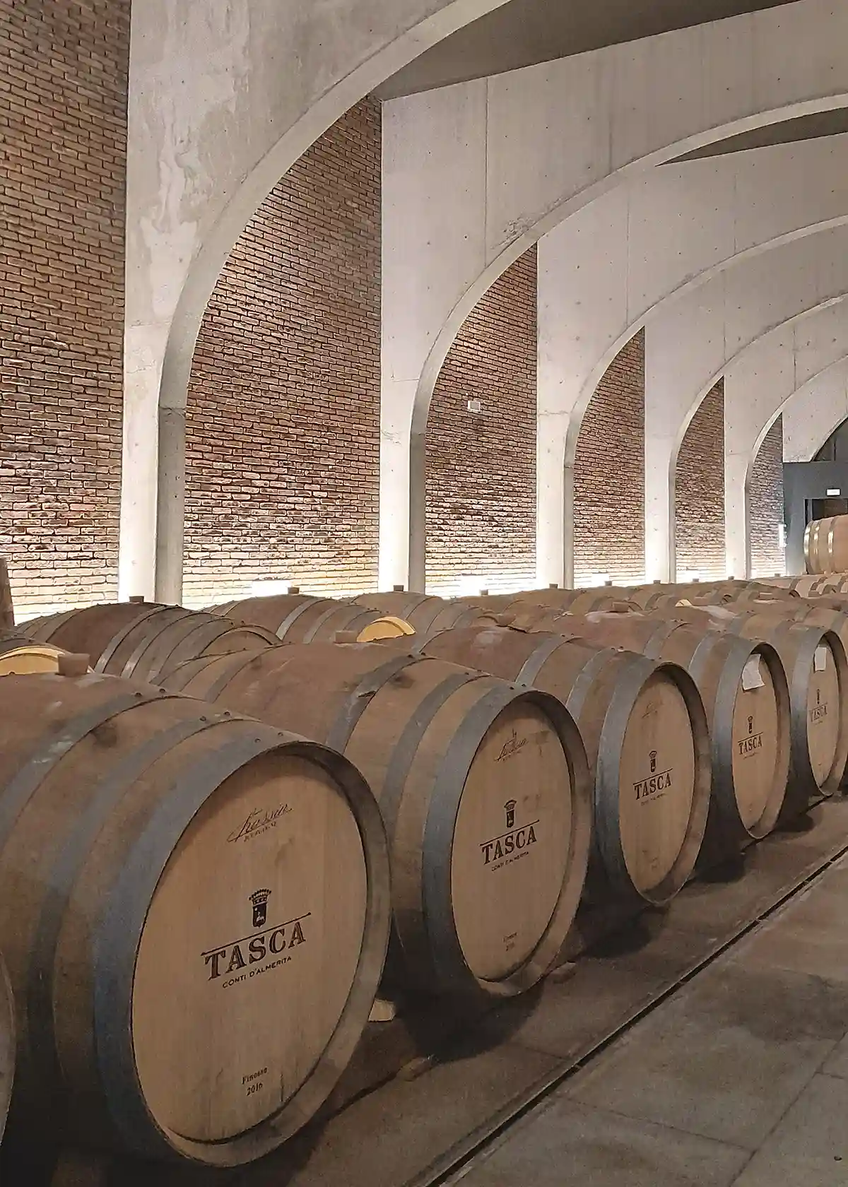architettura-del-vino-cantina-rampante-tasca-almerita-sicilia