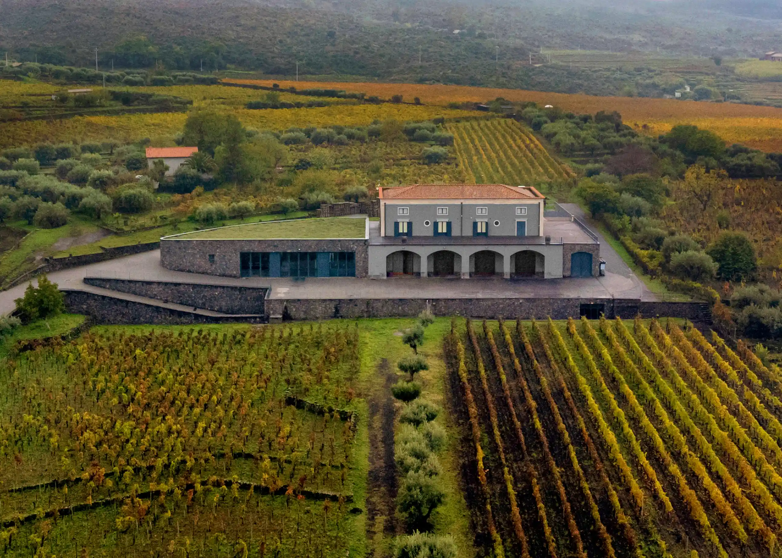 cantina-vinicola-progetto-tasca-rampante-sicilia