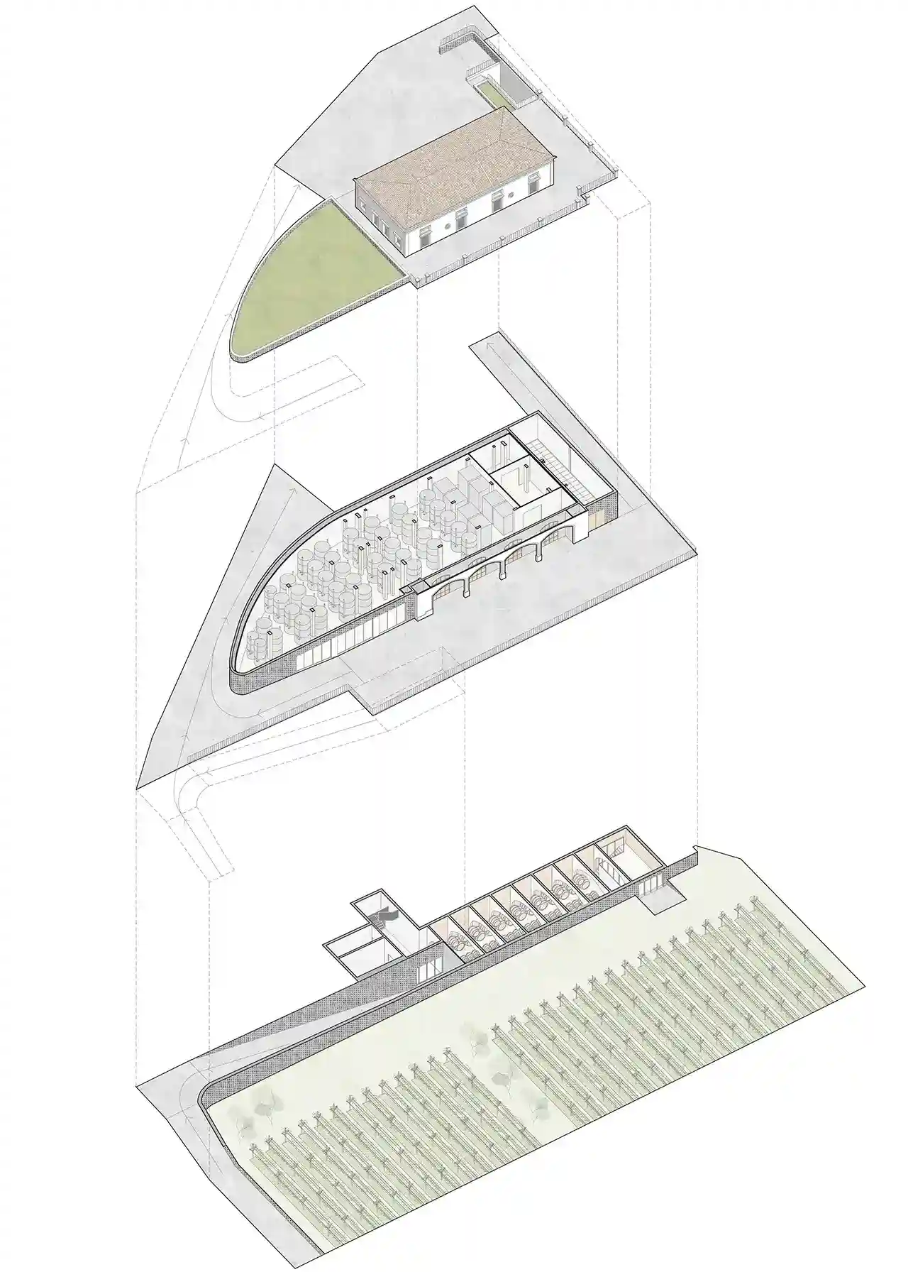 cantina-vinicola-rampante-tasca-almerita-sicilia