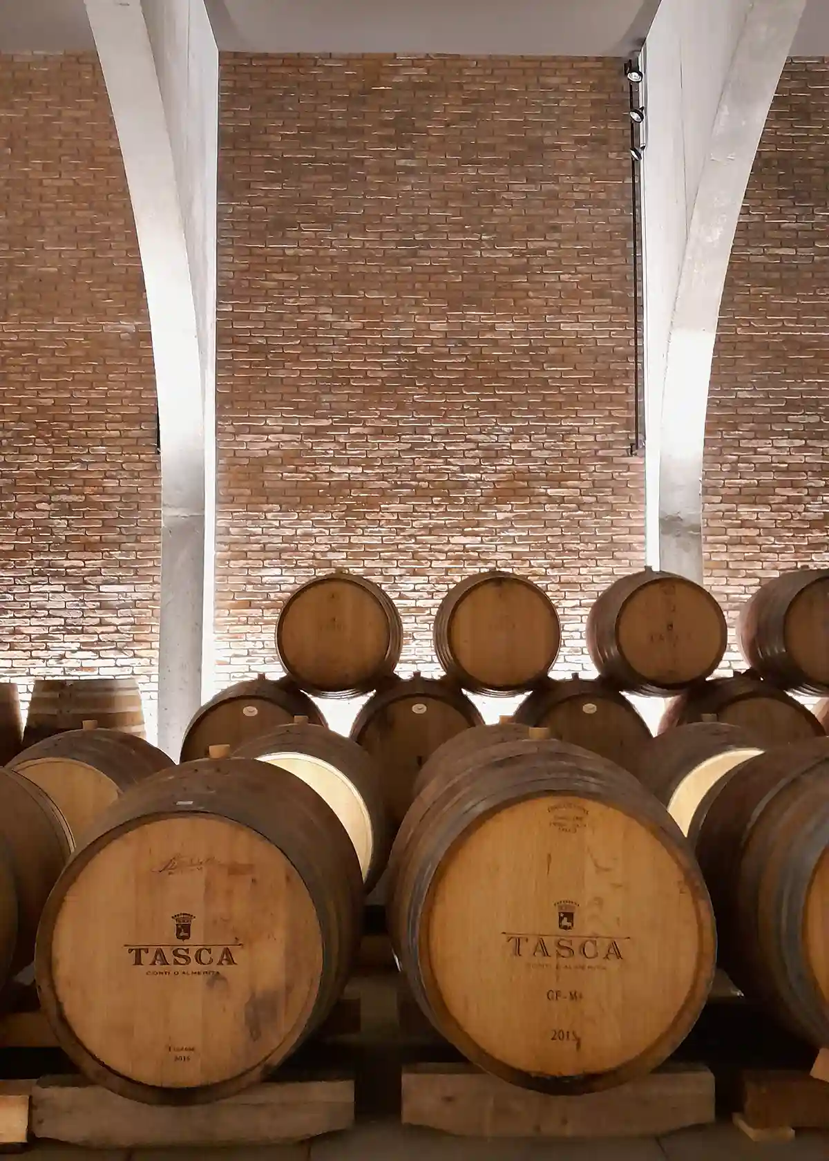 progettare-una-cantina-vinicola-tasca-almerita-rampante