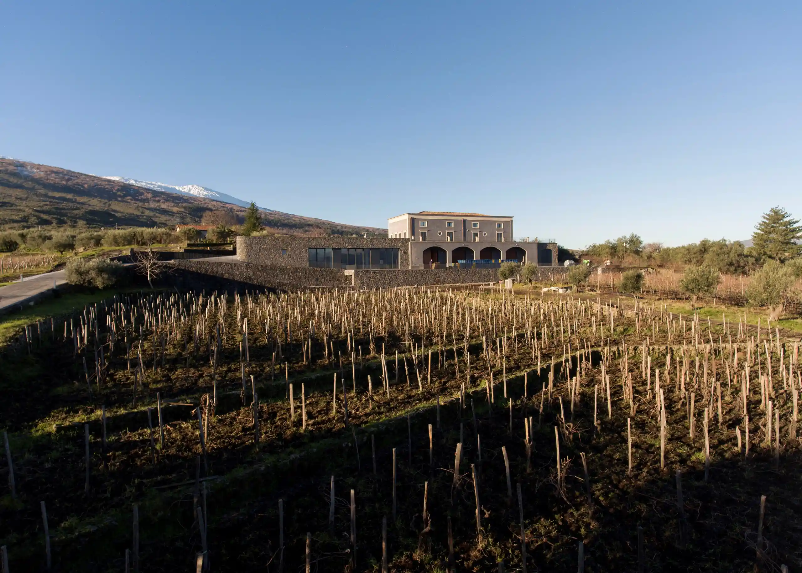 progetto-di-una-cantina-vinicola-tasca-rampante-sicilia