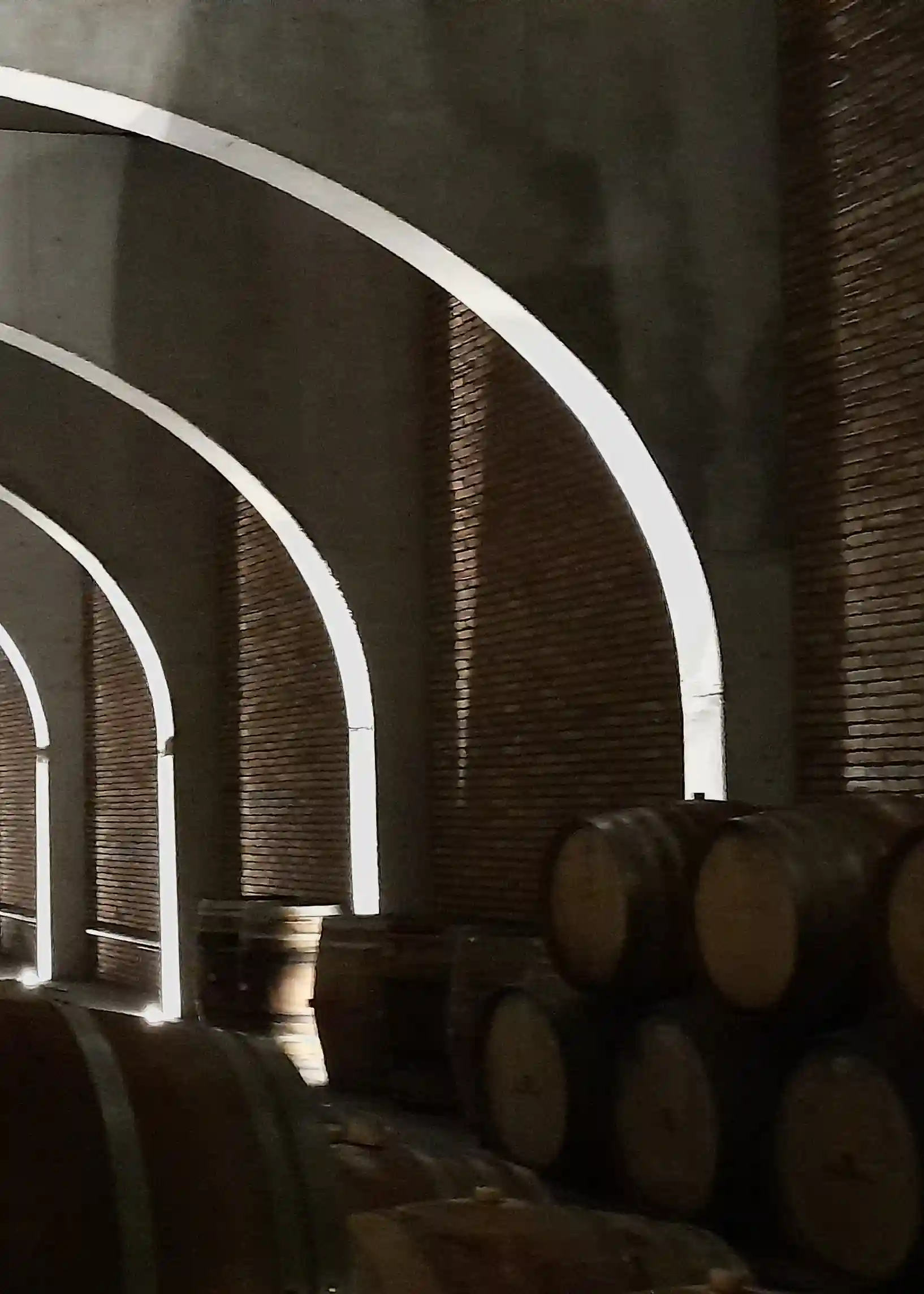 wine-architecture-sicilia-progetto-cantina-rampante-tasca